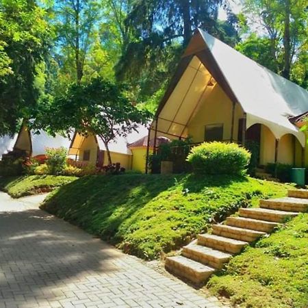 Lawu Forest Camp سارانجان المظهر الخارجي الصورة