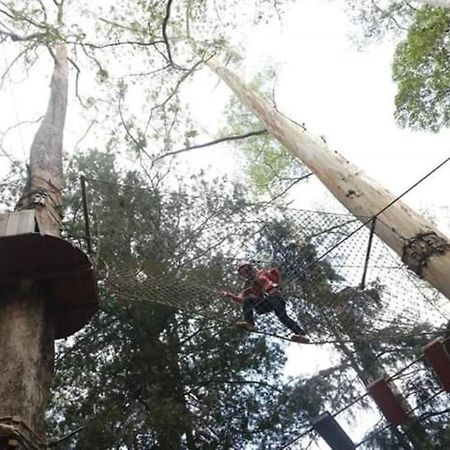 Lawu Forest Camp سارانجان المظهر الخارجي الصورة