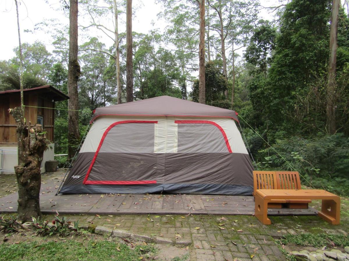 Lawu Forest Camp سارانجان المظهر الخارجي الصورة
