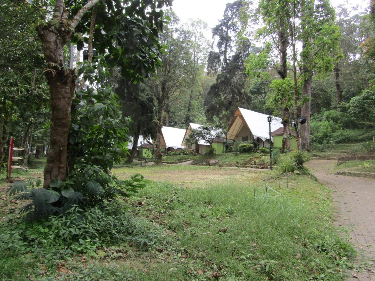 Lawu Forest Camp سارانجان المظهر الخارجي الصورة