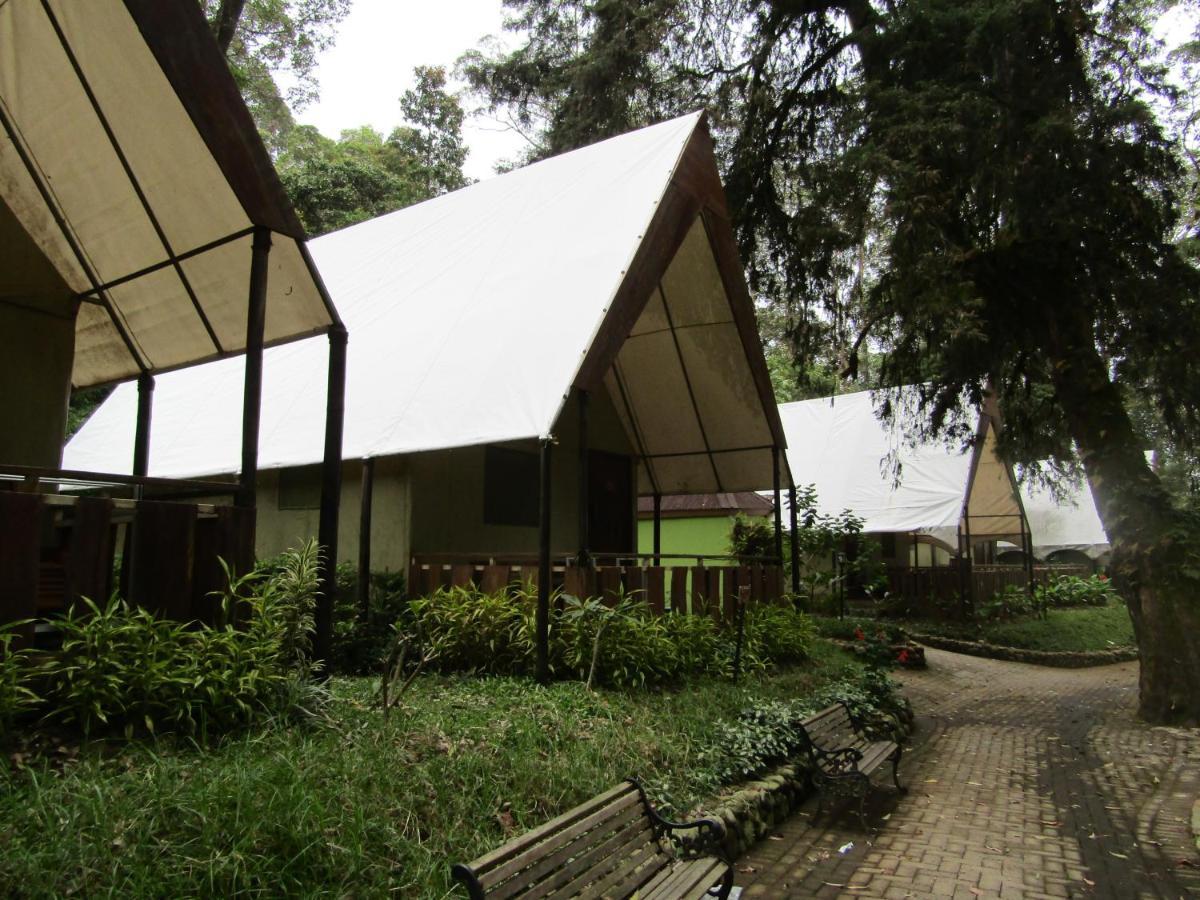 Lawu Forest Camp سارانجان المظهر الخارجي الصورة