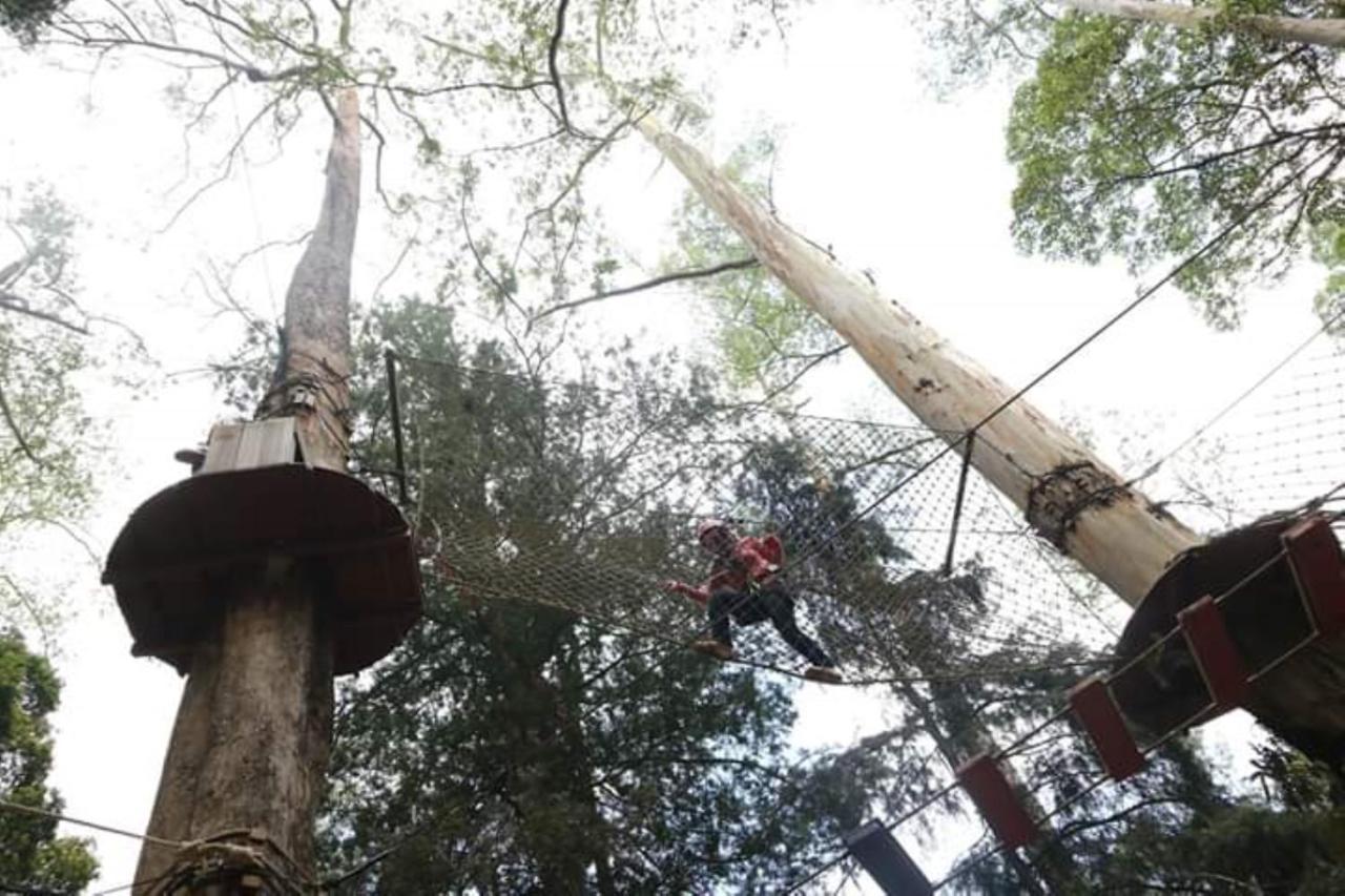 Lawu Forest Camp سارانجان المظهر الخارجي الصورة