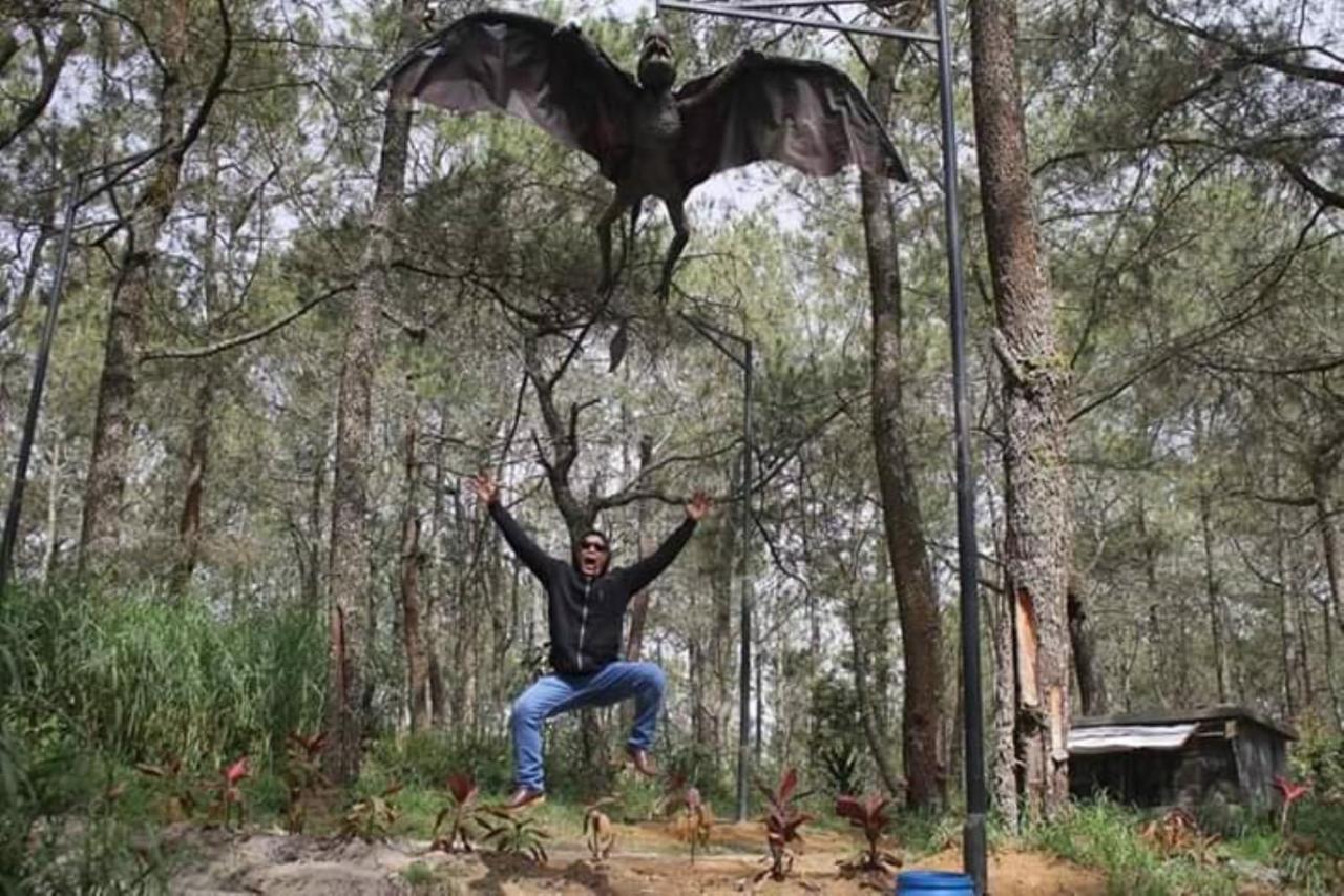 Lawu Forest Camp سارانجان المظهر الخارجي الصورة