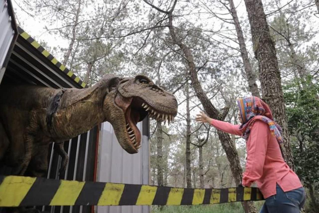 Lawu Forest Camp سارانجان المظهر الخارجي الصورة