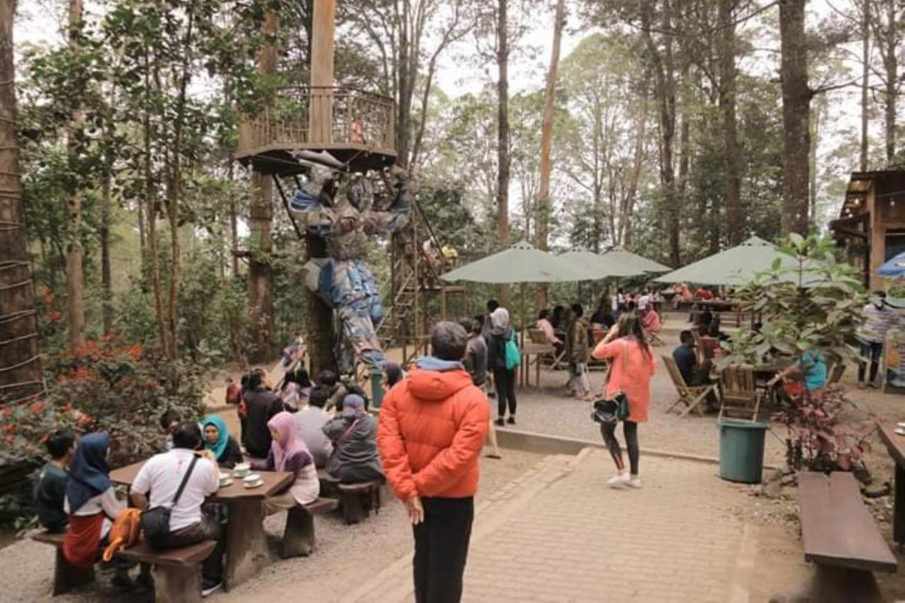Lawu Forest Camp سارانجان المظهر الخارجي الصورة